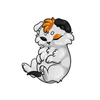Pet image
