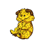 Pet image