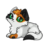 Pet image