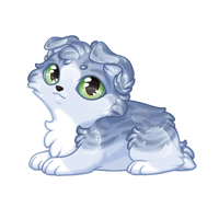 Pet image