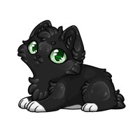 Pet image