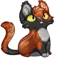 Pet image