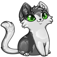 Pet image
