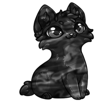 Pet image