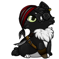Pet image