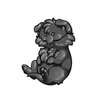 Pet image