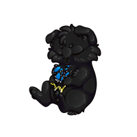 Pet image