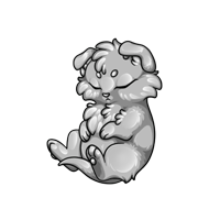 Pet image
