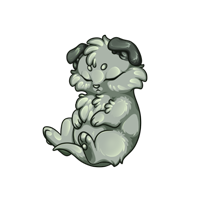 Pet image