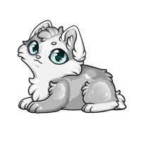 Pet image