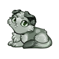 Pet image