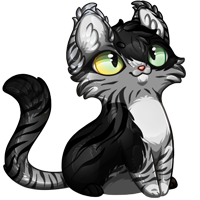 Pet image