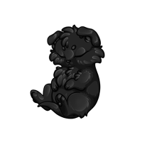 Pet image