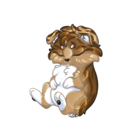Pet image