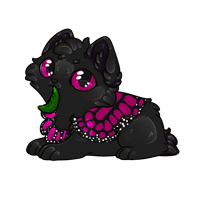 Pet image