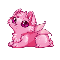Pet image