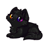 Pet image