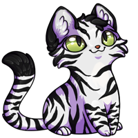 Pet image