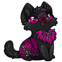Pet image