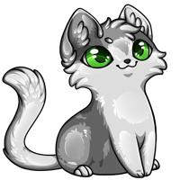 Pet image