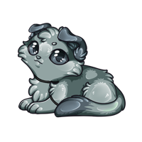Pet image