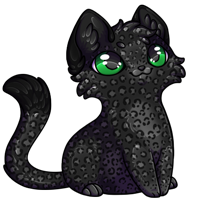 Pet image