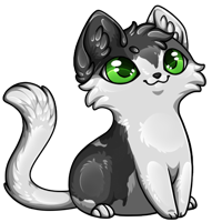 Pet image