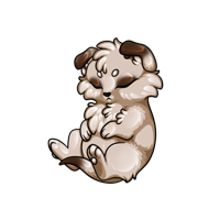 Pet image