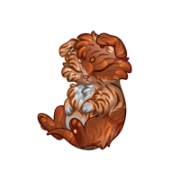 Pet image
