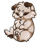 Pet image