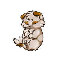 Pet image