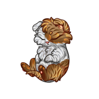 Pet image