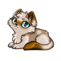 Pet image