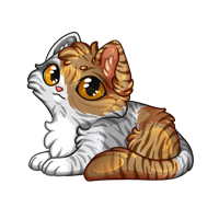 Pet image