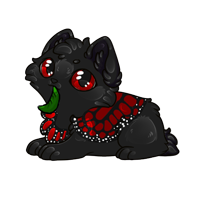 Pet image
