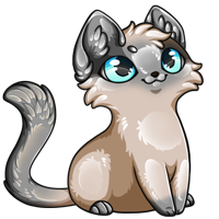 Pet image