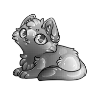 Pet image