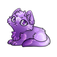 Pet image