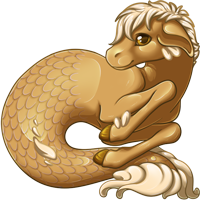 Pet image