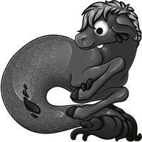 Pet image