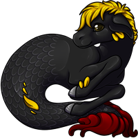 Pet image