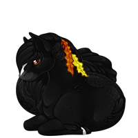Pet image