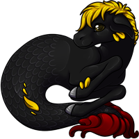 Pet image