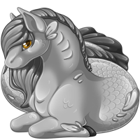 Pet image