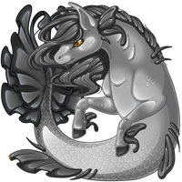 Pet image