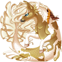 Pet image