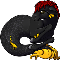 Pet image
