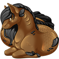 Pet image
