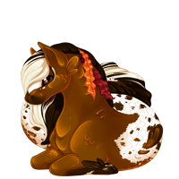 Pet image