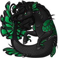 Pet image